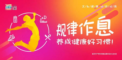 广东疫情动态 昨日无新增病例，软件开发行业持续稳定发展